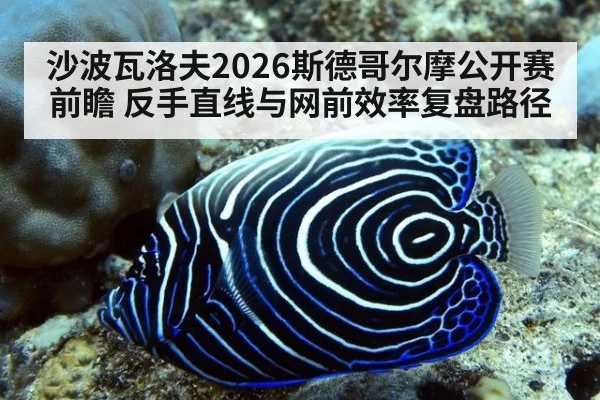沙波瓦洛夫2026斯德哥尔摩公开赛前瞻 反手直线与网前效率复盘路径